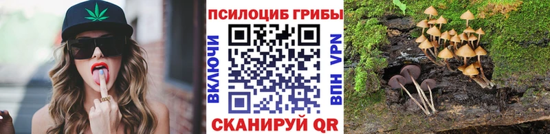 Купить закладки  Вихоревка  Галлюциногенные грибы Psilocybe 